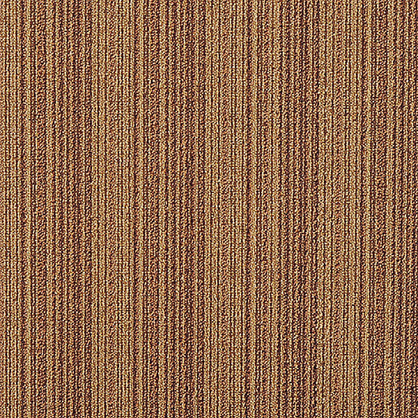 C03.jpg